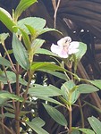 20190716_100347