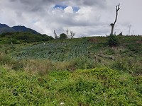 20190715_132425