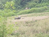 20190719_153324