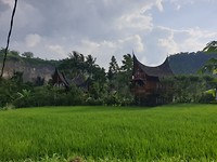 20190721_162952