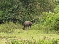 20190721_113658