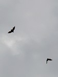 20190721_104541
