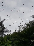 20190721_104529