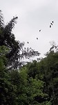 20190721_104631