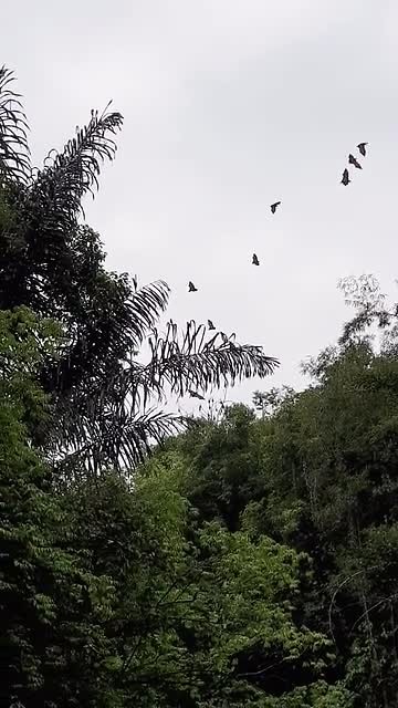 20190721_104631
