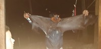 IMG-20190722-WA0001