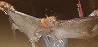 IMG-20190722-WA0006
