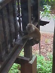 20190725_180143