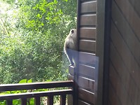20190725_180043