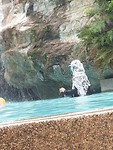 20190725_124600