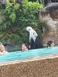 20190725_124532
