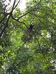 20190725_085343