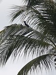 20190724_162059