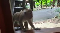 VID-20190725-WA0000