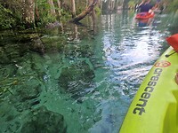 Three sisters spring
