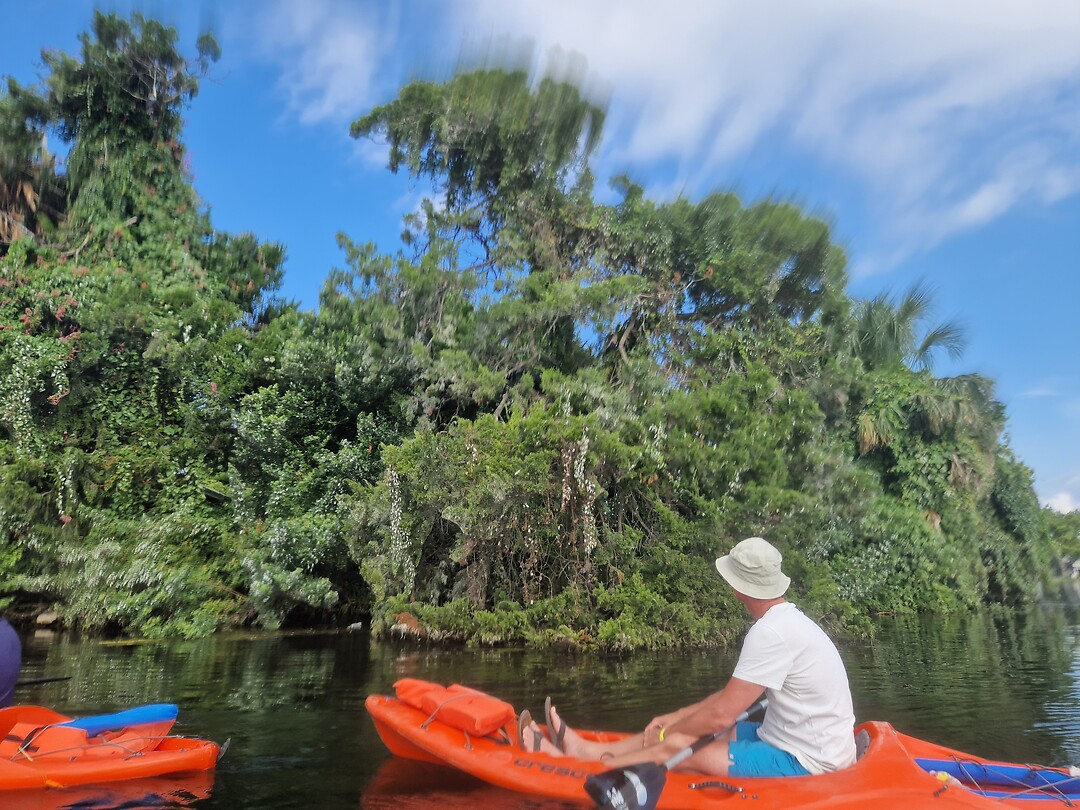 Rare vogel ;-)