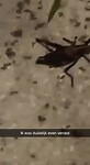 VID-20220817-WA0023