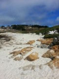 IMG_20130815_160047