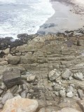 IMG_20130815_130355