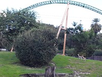 Dierentuin en pretpark ineen