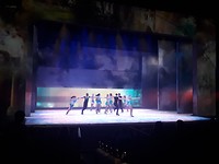 Ijsshow