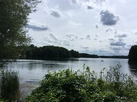 IMG_1336