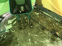 IMG_1344