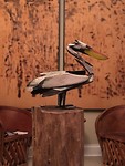 IMG_1371