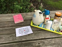 IMG_1376