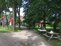 IMG_1379
