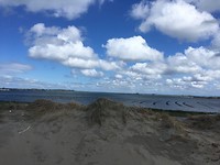 IMG_1414