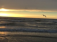IMG_1441