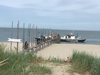 IMG_1471