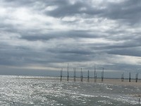 IMG_1474