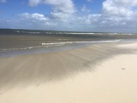 IMG_1486