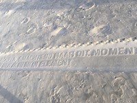 IMG_1501