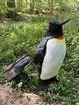 IMG_6841