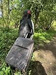 IMG_6842