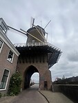 IMG_7029