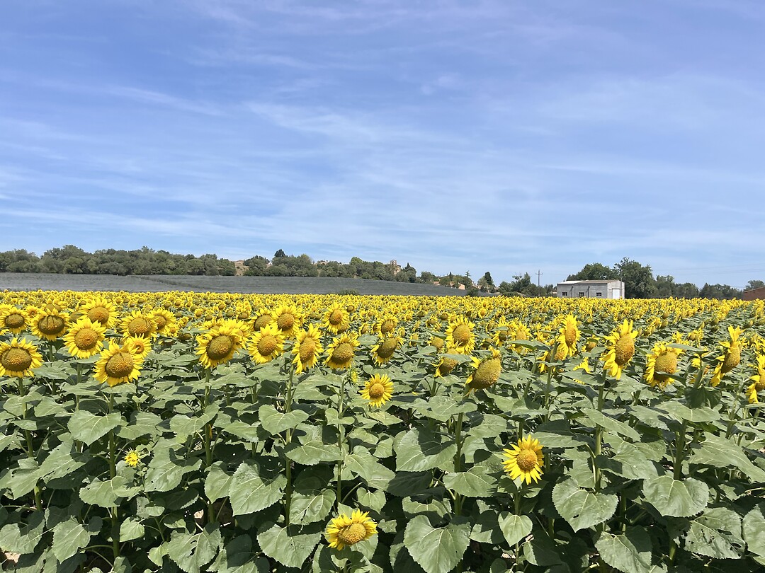Onderweg