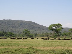 IMG_2149