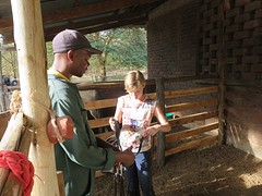 IMG_2182