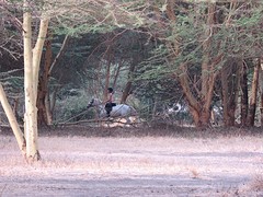 IMG_2212
