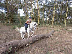 IMG_2222