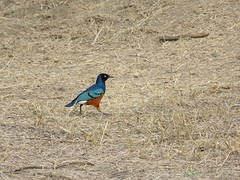 IMG_2228