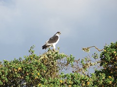 IMG_2391