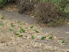 IMG_2319