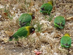IMG_2320