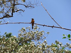 IMG_2332