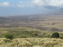 IMG_2502